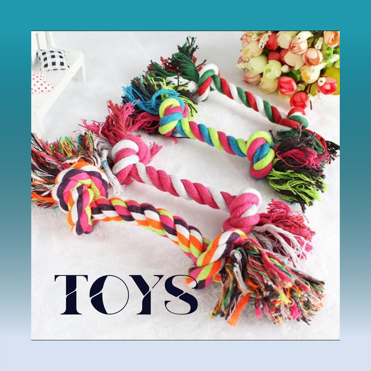 TOYS
