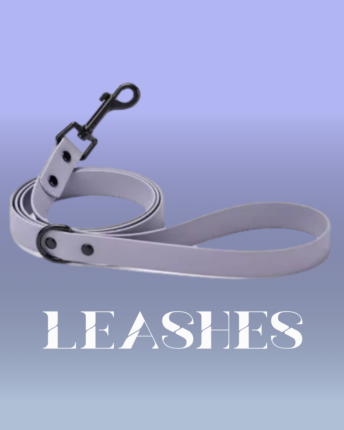 LEASHES & COLLARS