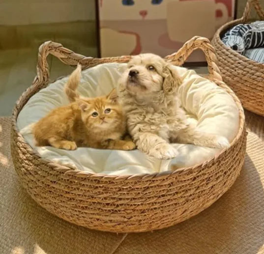 PET CARE ESSENTIALS