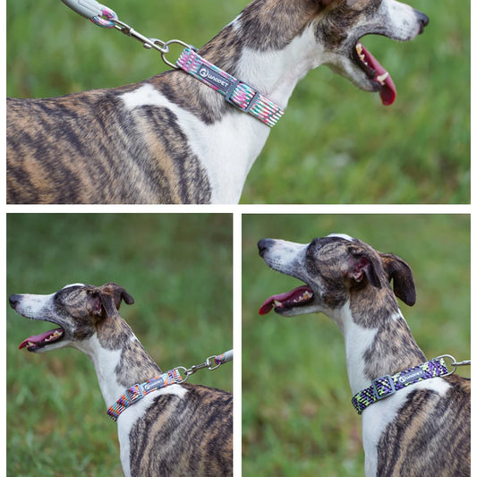 🐶 Adjustable Reflective Dog Collar – Durable & Breathable
