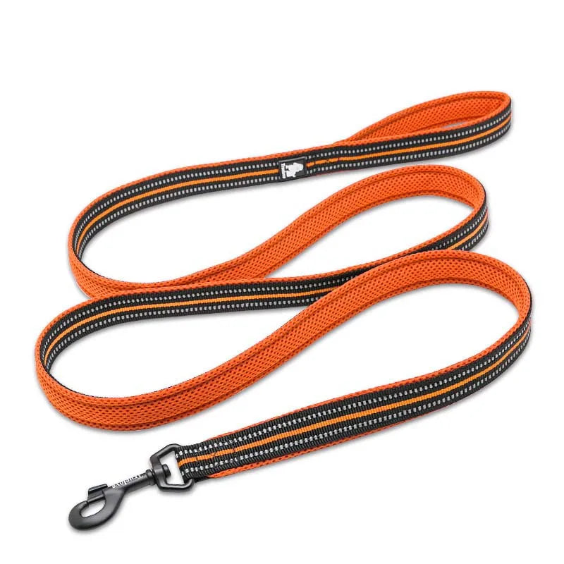 Orange dog leash with reflective strip