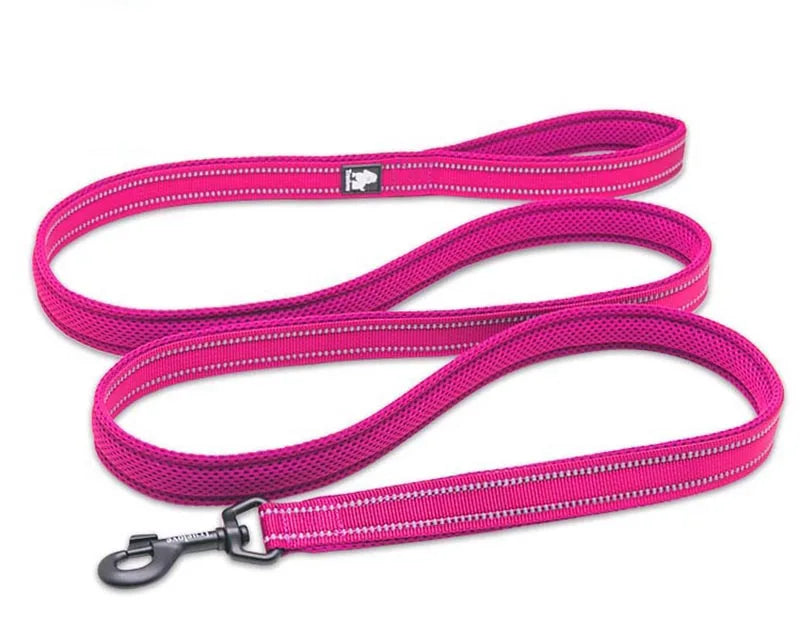 Pink dog leash with reflective strip 