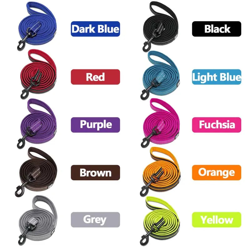 Reflective Double-Thick Dog Leash for Running & Training (Truelove)