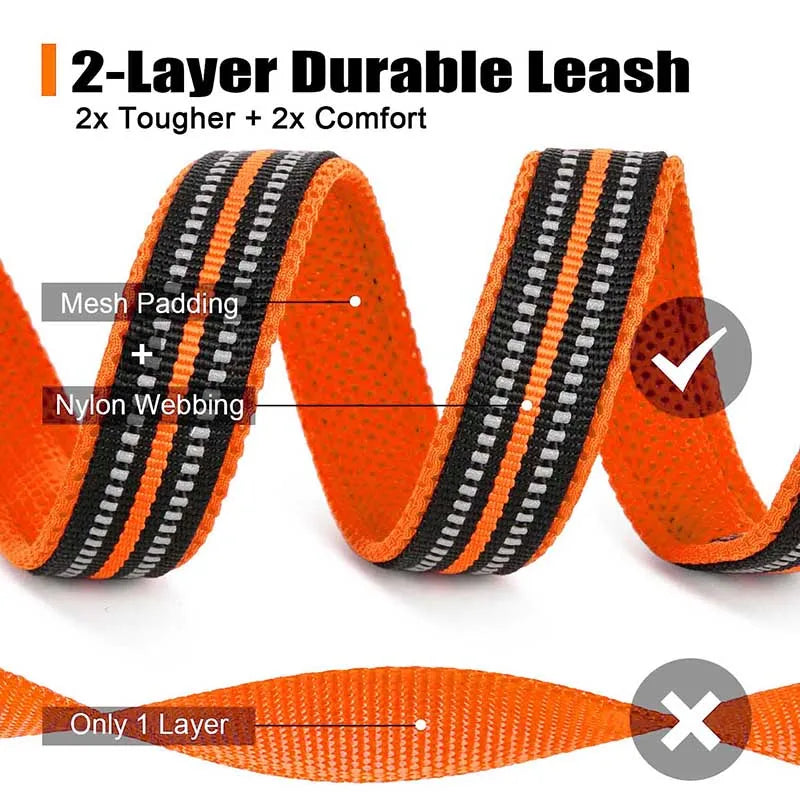 Reflective Double-Thick Dog Leash for Running & Training (Truelove)