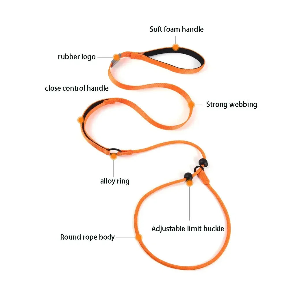 No-Pull Slip Training Leash with Built-in Collar & Double Handle