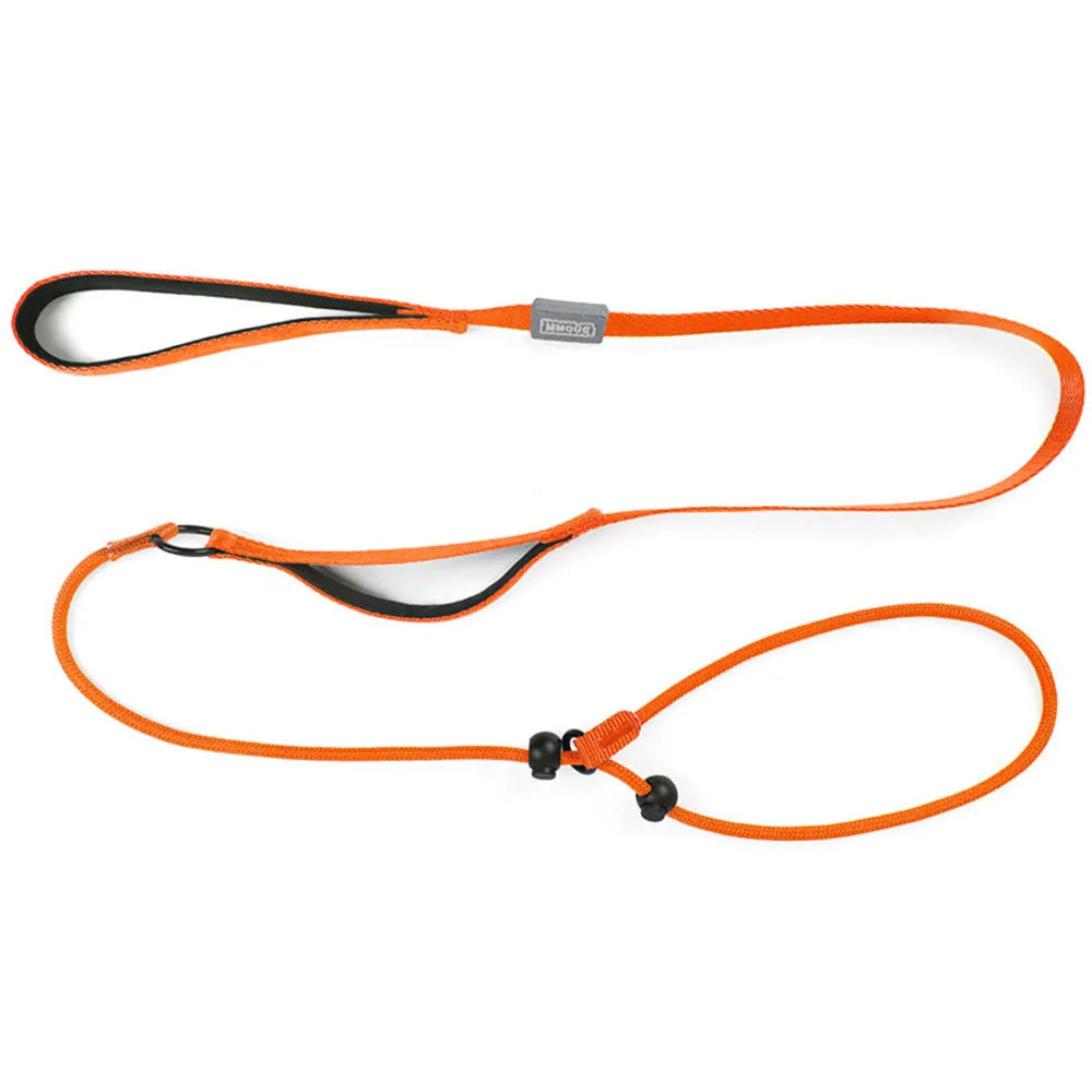 No-Pull Slip Training Leash with Built-in Collar & Double Handle