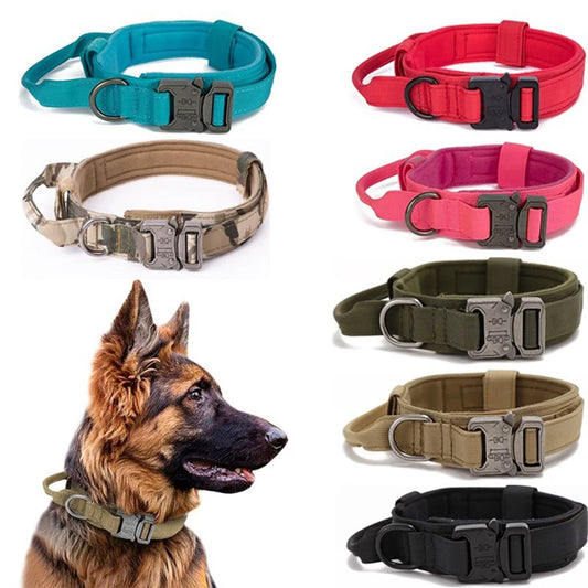 Durable Reflective Nylon Dog Collar & Leash Set
