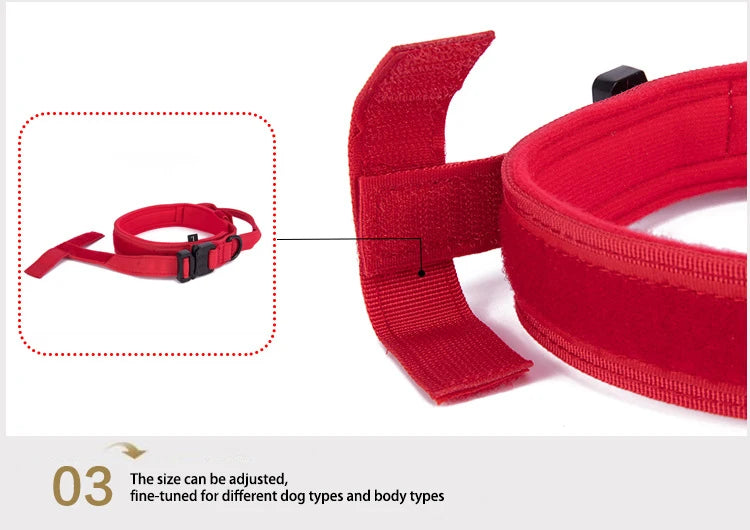 Durable Reflective Nylon Dog Collar & Leash Set