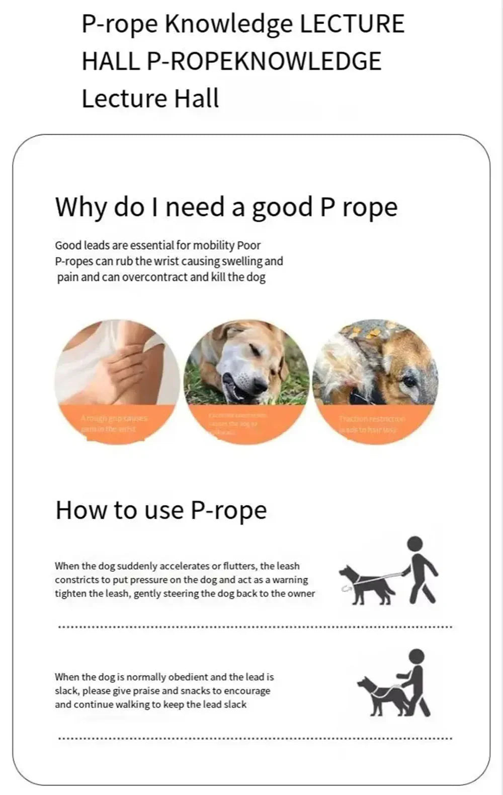 No-Pull Slip Training Leash with Built-in Collar & Double Handle