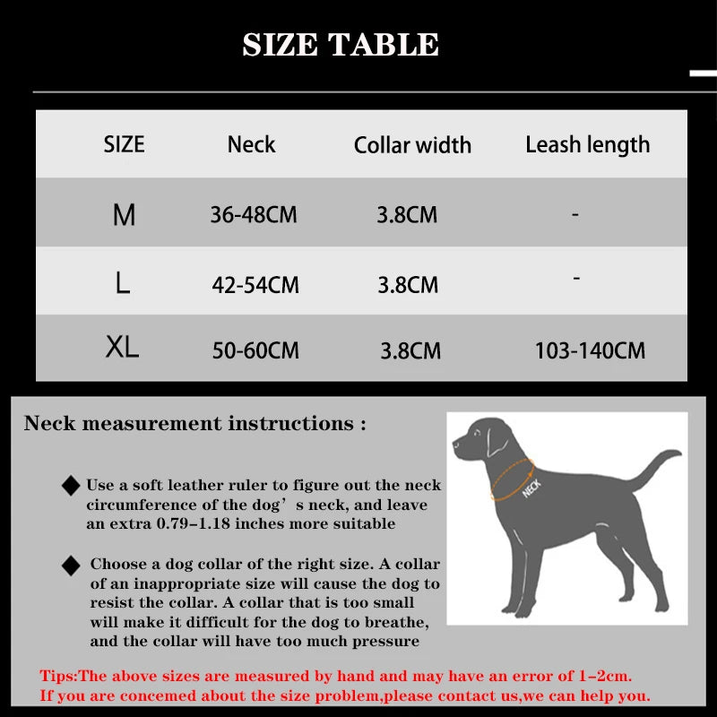 Durable Reflective Nylon Dog Collar & Leash Set