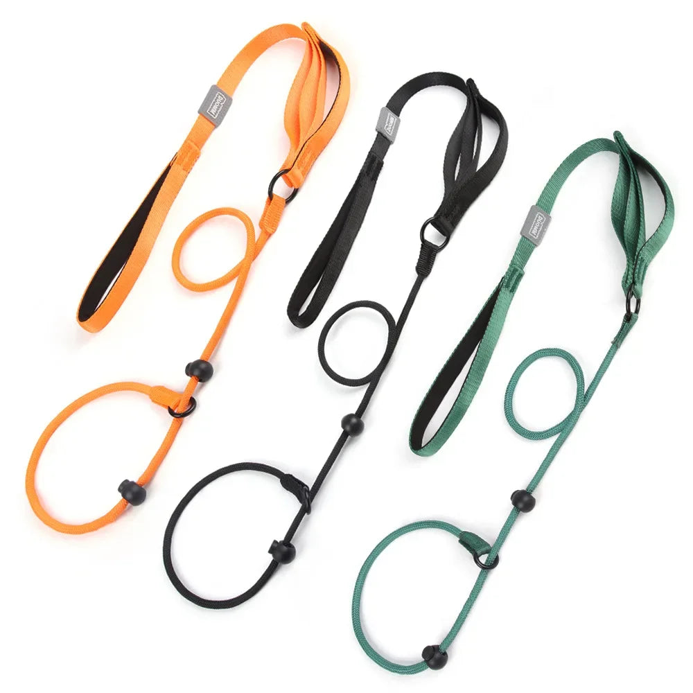 No-Pull Slip Training Leash with Built-in Collar & Double Handle
