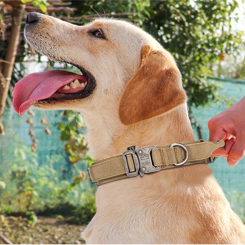 Durable Reflective Nylon Dog Collar & Leash Set